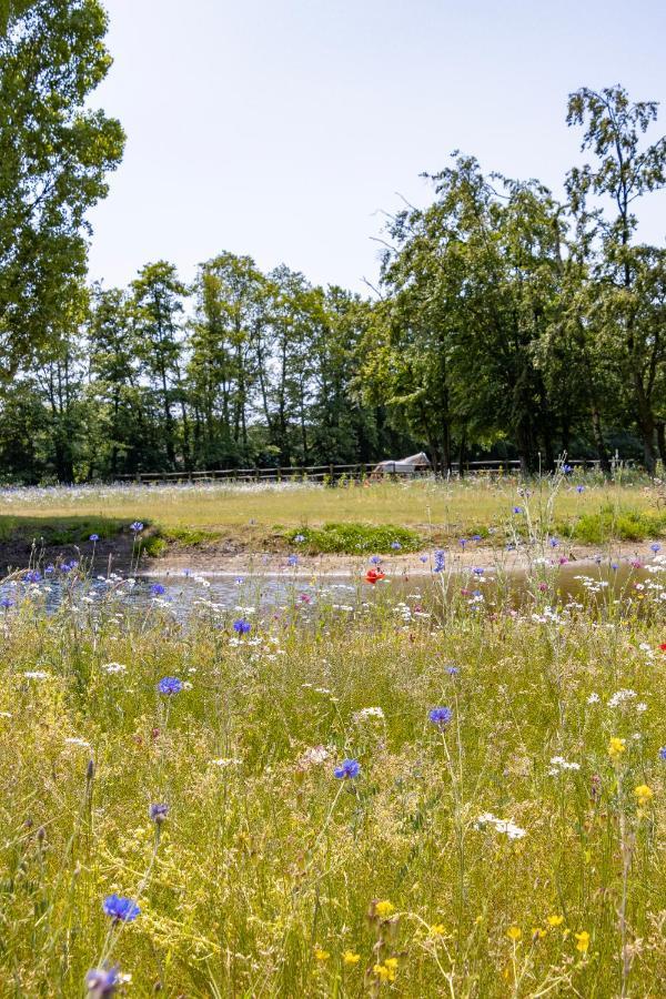 Equilodge 'T Blommeke - Reconnect With Nature Brügge Exterior foto