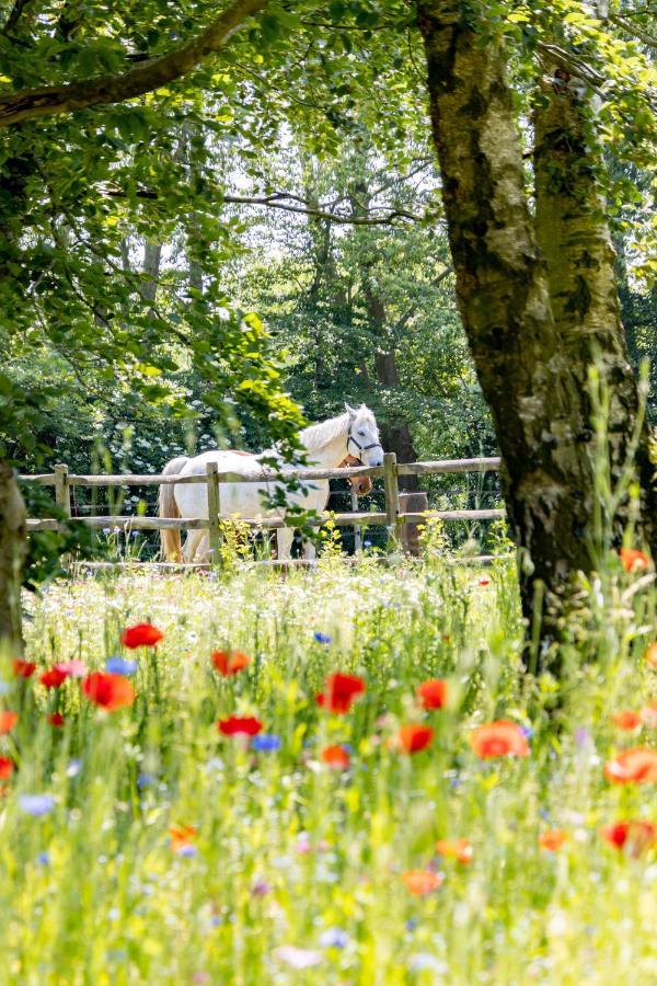 Equilodge 'T Blommeke - Reconnect With Nature Brügge Exterior foto